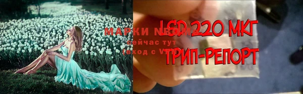 гидра Касимов