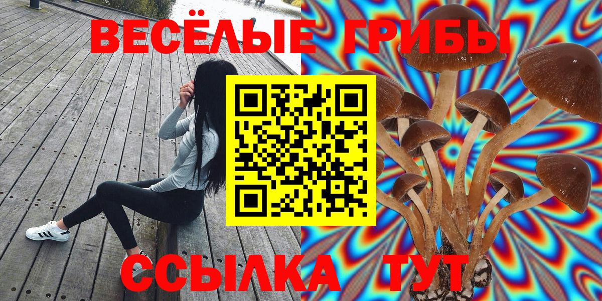 Надым  Галлюциногенные грибы мицелий  Вход с VPN 