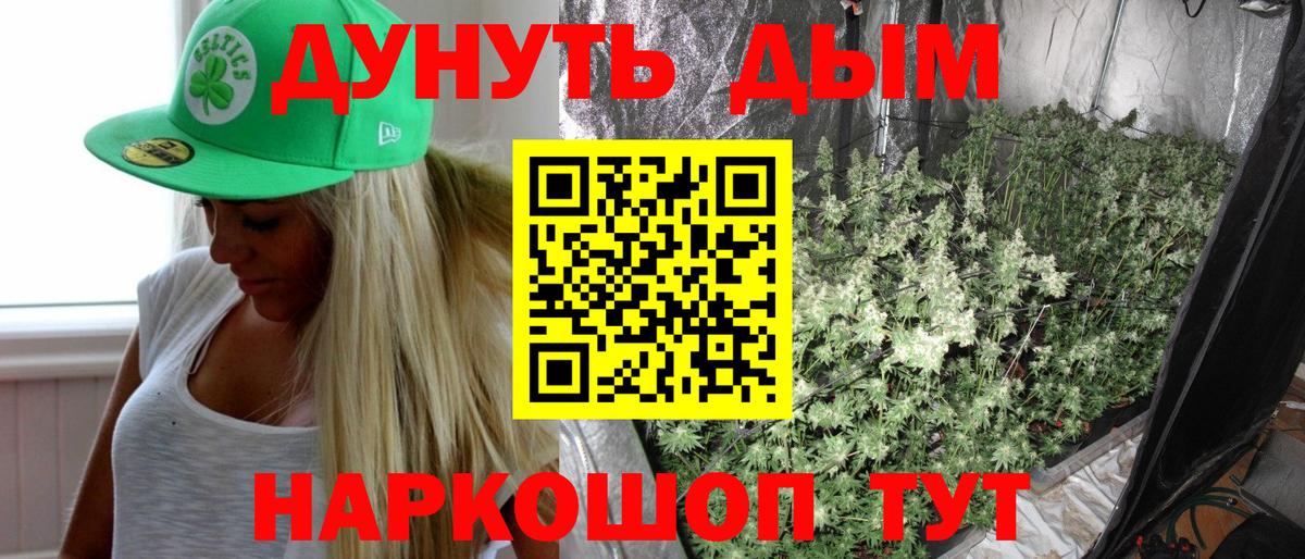 Канабис план  Вход с VPN  Бошки марихуана Amnesia  Надым  Шишки марихуана семена 